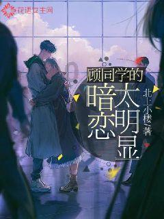 hahabetcom官网星辰大海